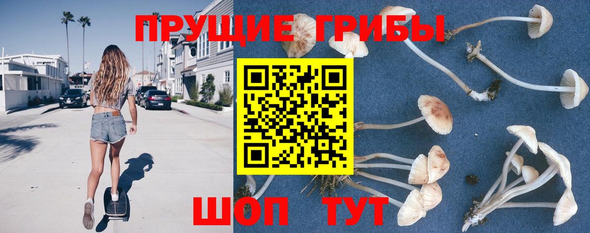 Галлюциногенные грибы прущие грибы Курчатов