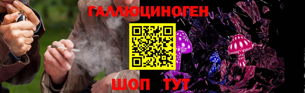 Курчатов  Псилоцибиновые грибы GOLDEN TEACHER  Вход с VPN 